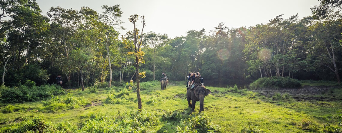 Chitwan Tours Packages 2026/2027