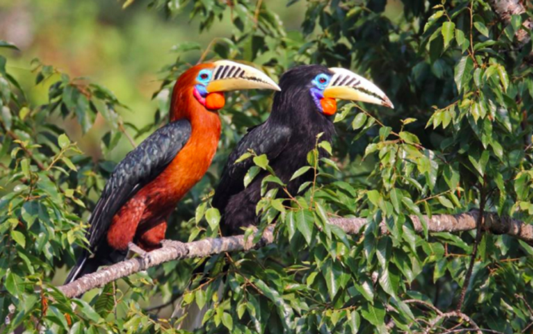 Bhutan Things to Do 2026