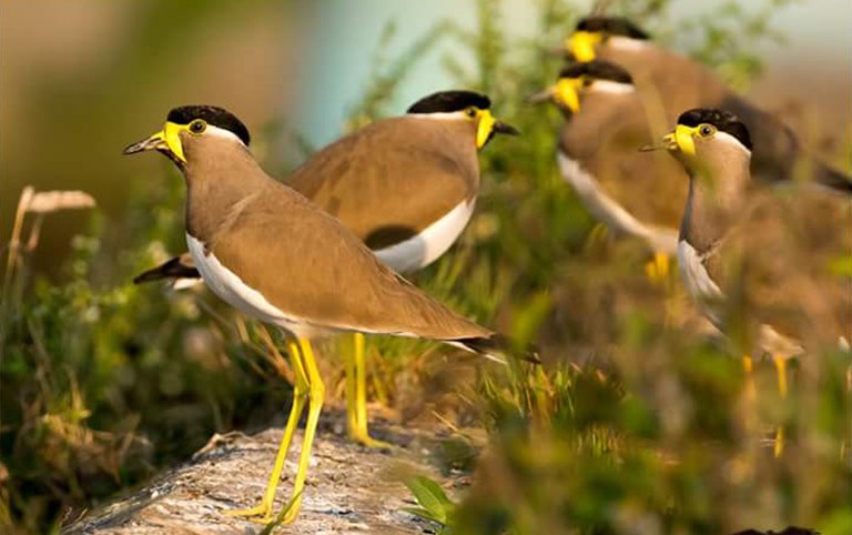 Bhutan Things to Do 2026