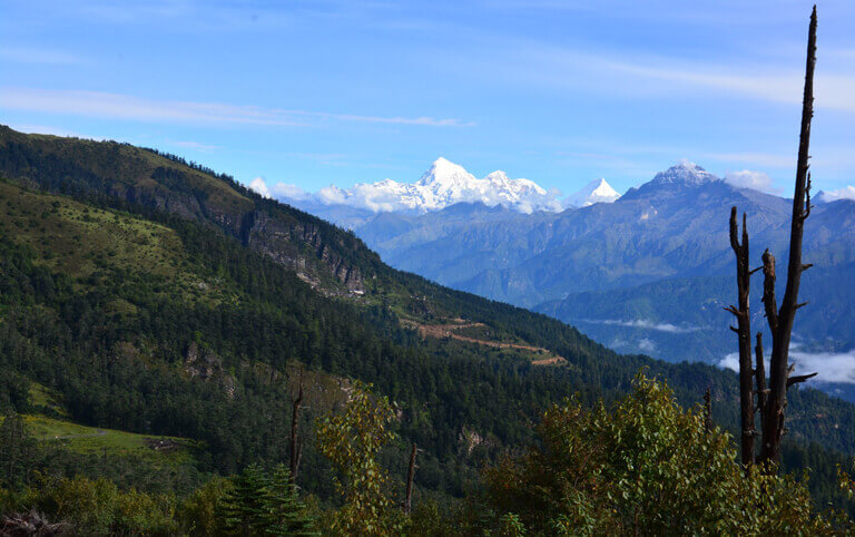 See Himalayan Ranges from Chele La Pass