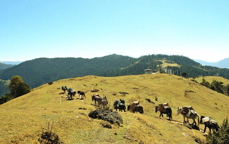 Trekking over Jele Pass