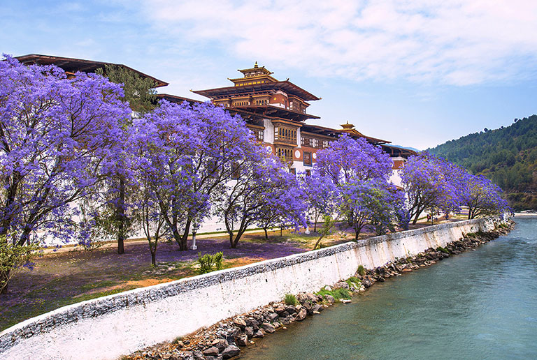 Picturesque Punakha Dzong in March Punakha Weather and Climate