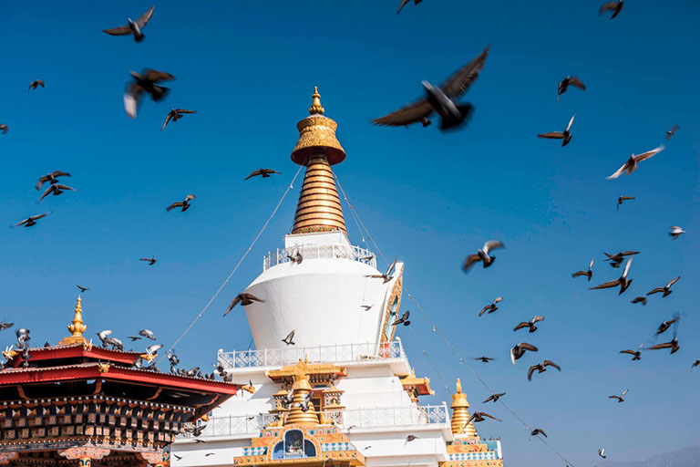 Places to Visit in Thimphu