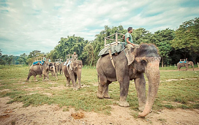 Nepal Things to Do 2026